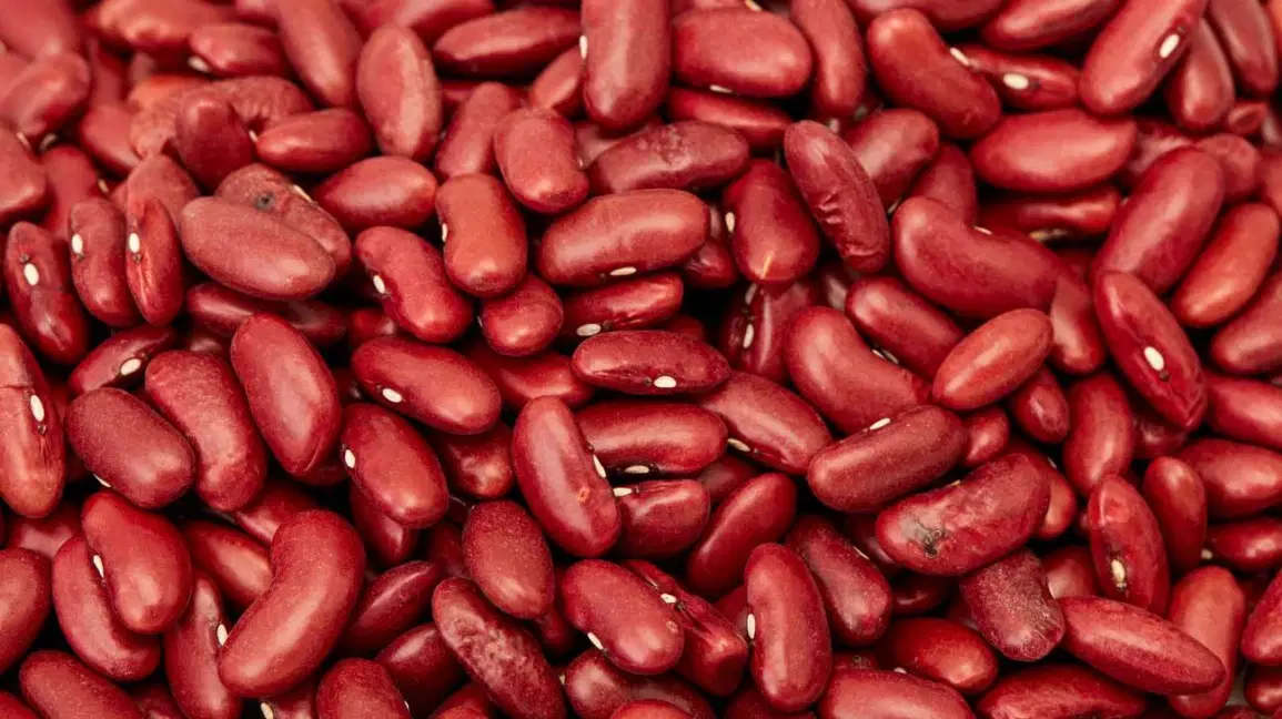 Red Kidney Beans is known as Rajma in Nepali. They are kidney shaped. Undercooked Red Kidney Beans contains hight amount of toxin called phytohemagglutinin that can lead to food poisoning.