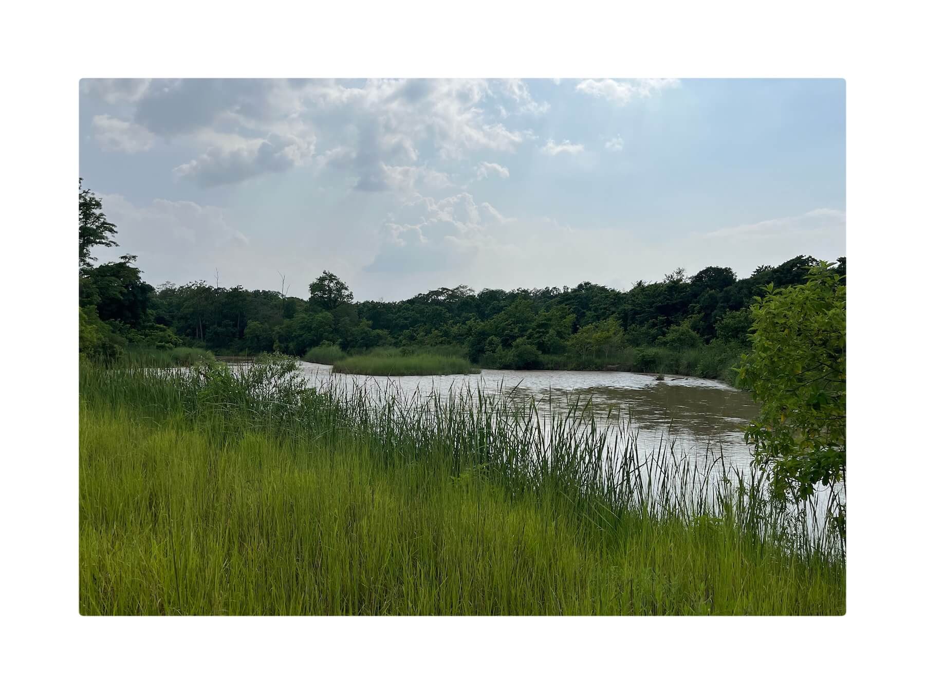 river stream in Bardiya national park.