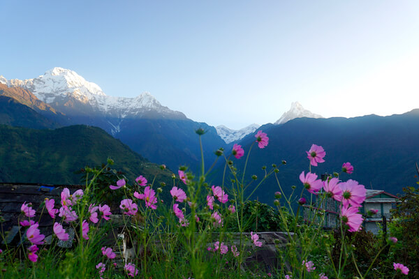 Ghandruk (घान्द्रुक) is a Village Development Committee in the Kaski District of the Gandaki province of Nepal.